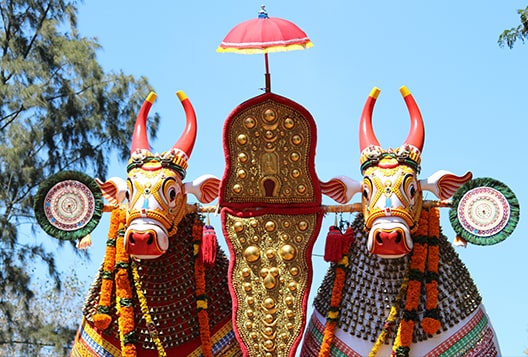 Temple Festivals of South India